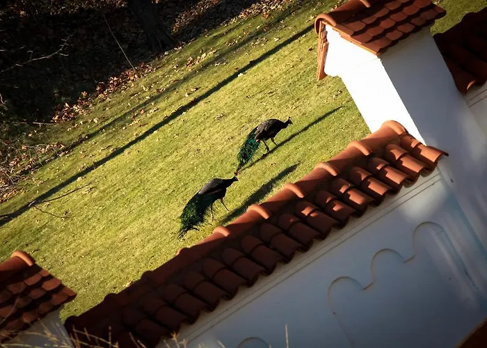 Esprit Μπρασόβ